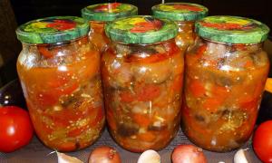 Салат из перца и помидоров: лучшие рецепты с фото Салат из болгарского перца в томате